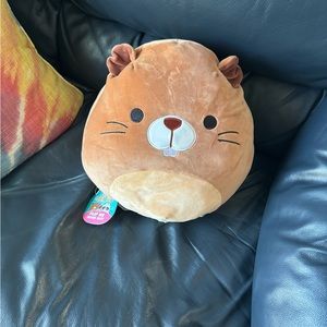 12” Squishmallow Flip-a-mallow Chip Beaver and Rocky Raccoon